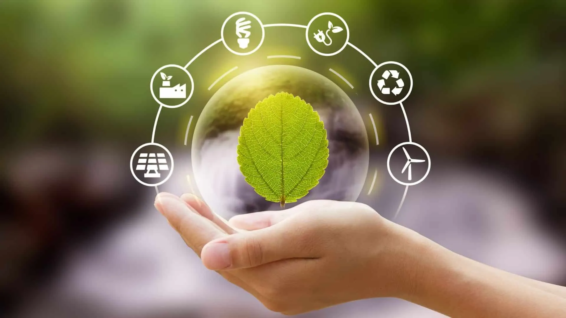 Sustainability