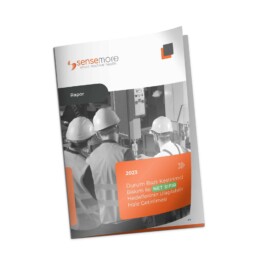 Sensemore Rapor - Durum Bazlı Kestirimci Bakım ile Net Sıfır Hedeflerinin Ulaşılabilir Hale Getirilmesi