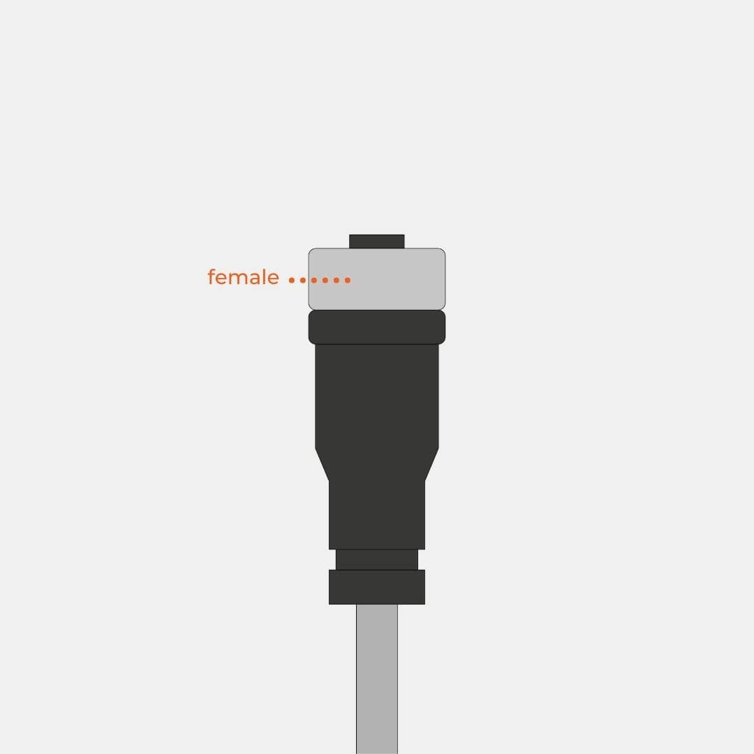 M12 Female Connector Sensemore
